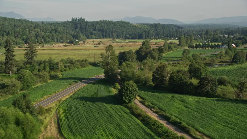 Flying over a rustic country road surrounded by vibrant fields of crops in Carnation Washington on a sunny day
