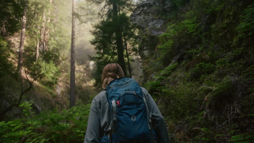 Backpacker hikes along trail through forest overlooking ravine