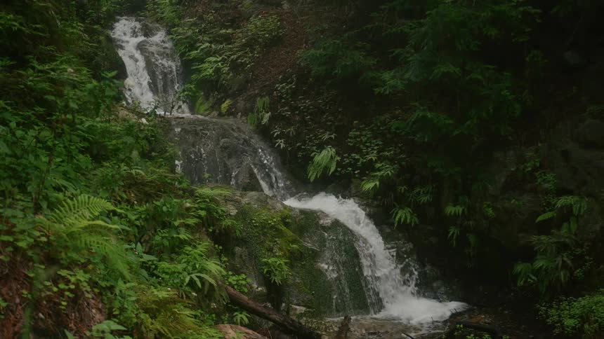 A waterfall is flowing down a mountainside into a stream surrounded by plants and vegetation