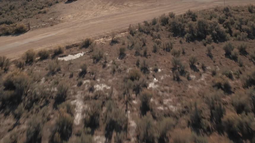 Aerial view of a shrubby area in the wilderness