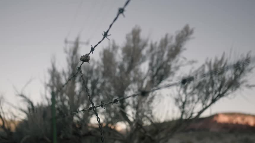 A barbed wire fence stands near shrubs