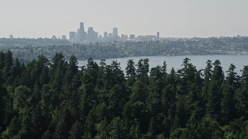 A stunning aerial view of the Downtown Seattle skyline visible in the distance beyond the lush tree-covered Bailey Peninsula Washington