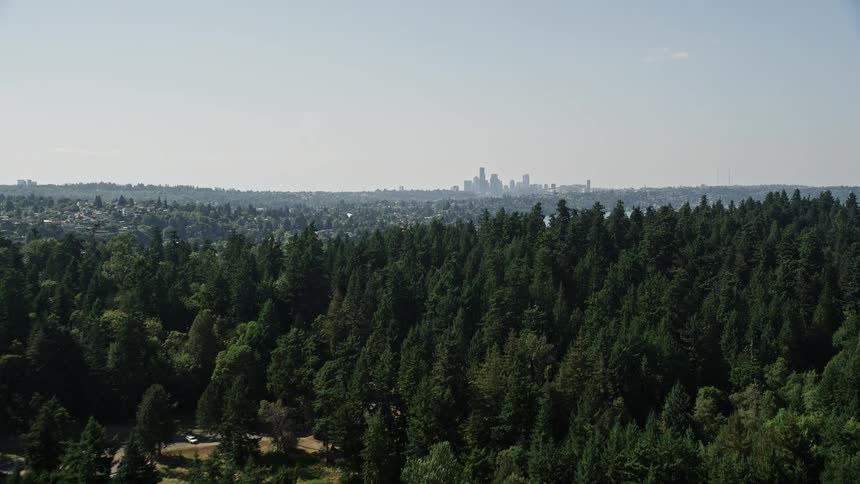 Aerial flyover of Bailey Peninsula's tree-covered shoreline revealing the breathtaking downtown Seattle skyline on a sunny day in Washington's Pacific Northwest