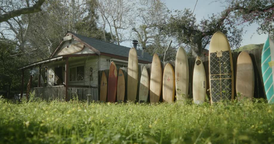 Row of surfboards lean against fence of house with short wildflower covered lawn