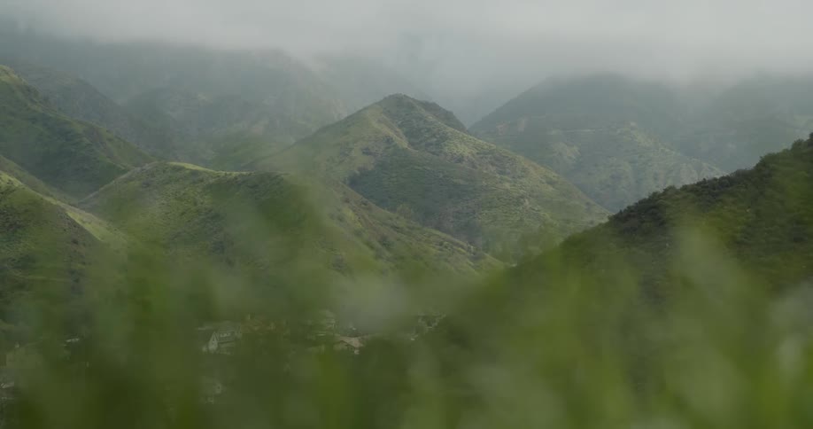 The mountains are all green