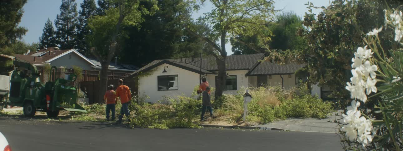 Work crew prunes tree and feeds tree limbs into wood chipper parked on street in front of house