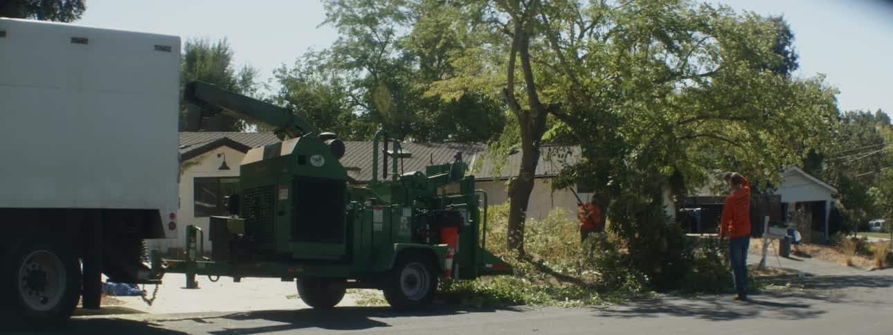 Work crew prunes limbs off tree standing near parked truck and wood chipper