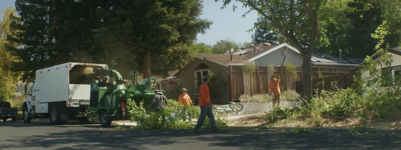 A group of men clean up tree limbs in a neighborhood as cars drive past