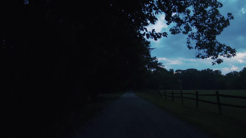 Tall dense trees hover over a rural road