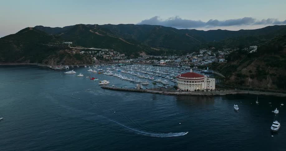 Aerial view of avalon town and harbor at dusk