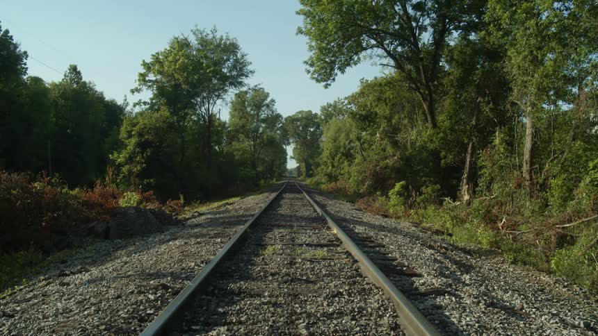 Train tracks running through a forest