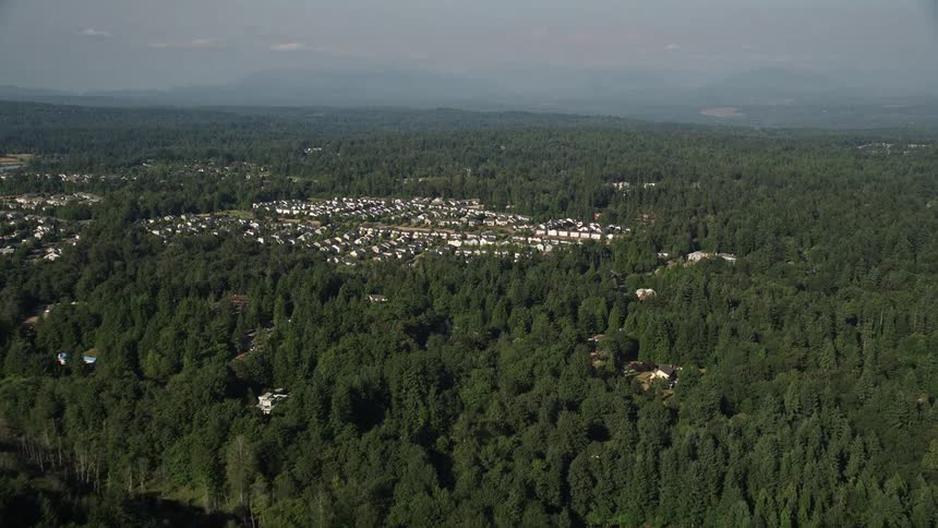an aerial view of a sunny residential neighborhood nestled amidst lush green trees in Sammamish Washington