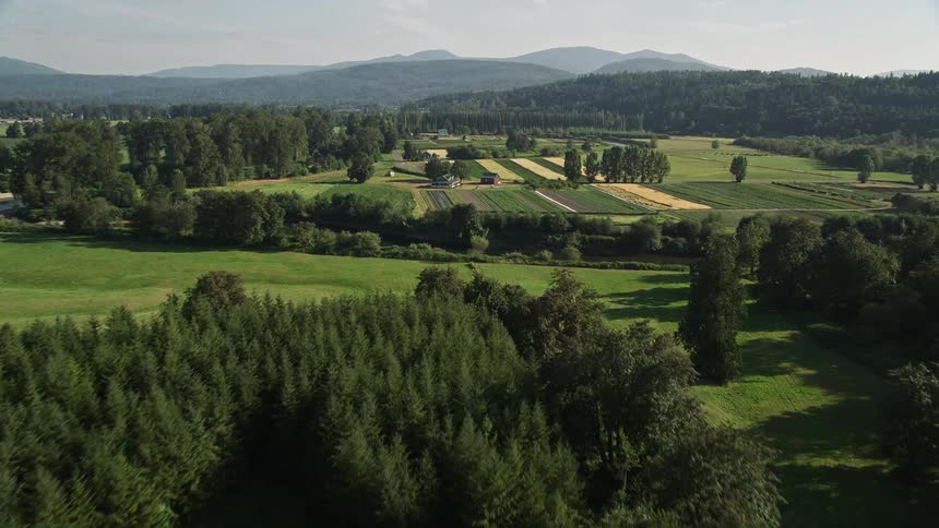  aerial footage of the Snoqualmie River winding through the rustic landscape with farm fields in Carnation Washington under the warm sunshine