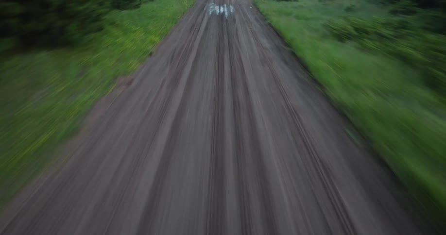 A dirt road from the point of view of a speeding vehicle