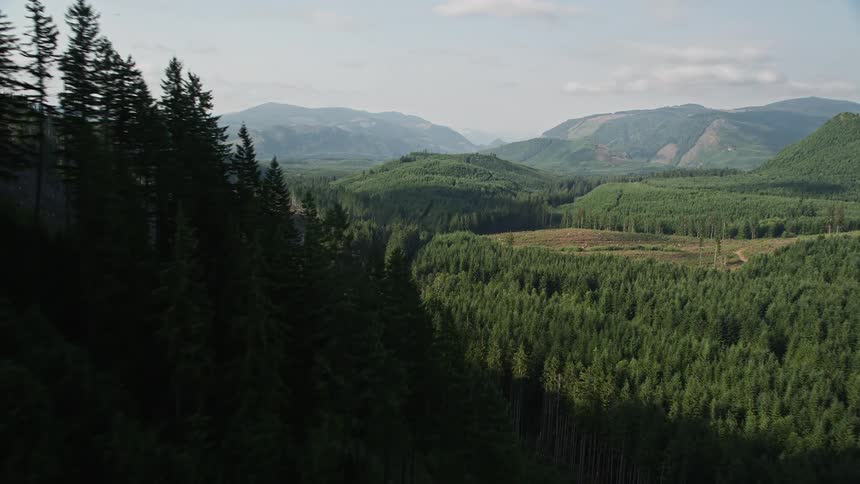 Aerial view of a sunlit evergreen-covered mountain landscape in King County Washington