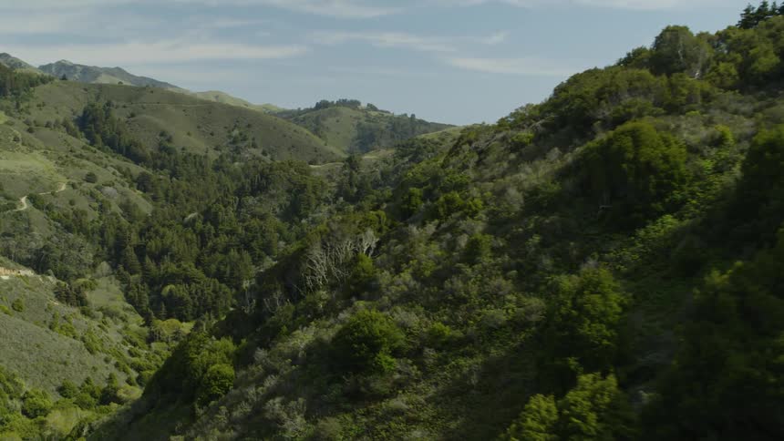 Aerial view of forest on mountain slopes and valley