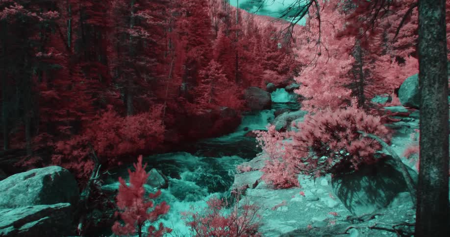 The stream runs through the woods