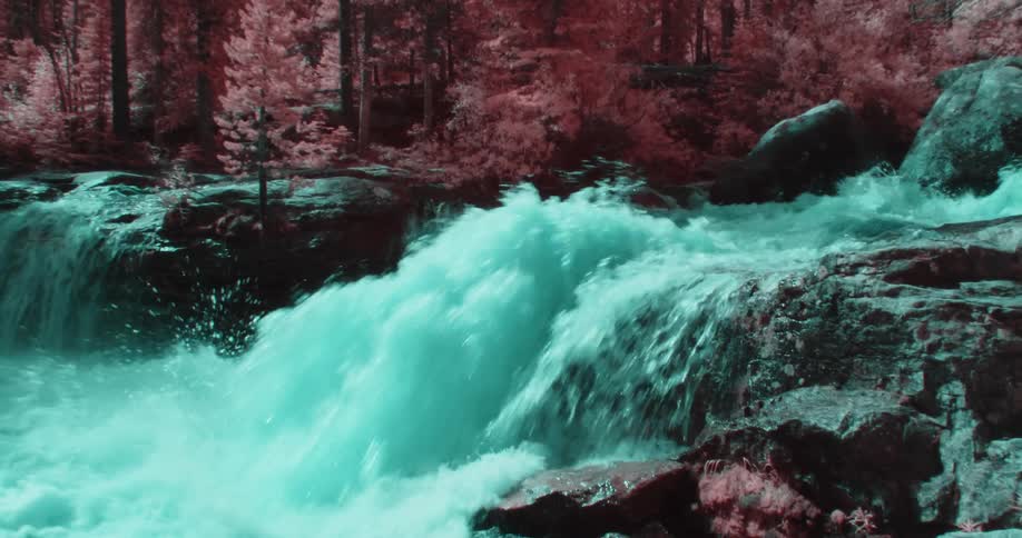 Colored filter tints falling whitewater and conifer forest red