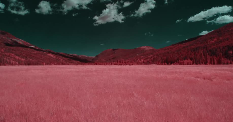 A beautiful landscape with tall grass full of trees with mountains in the background with dark sky