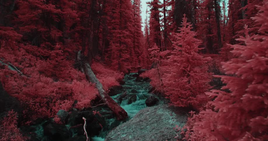Green tinted water flows down rocks between red tinted trees