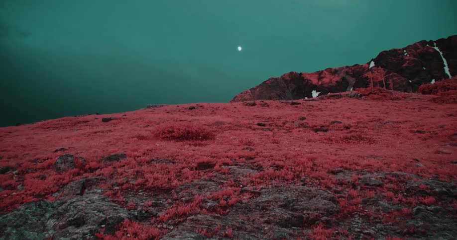 Red colored filter tints vegetation on field bordering mountain under overcast sky