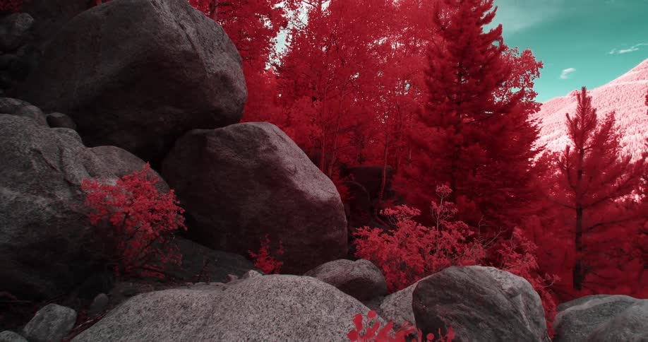 Red tinted boulders and vegetation contrast with blue sky