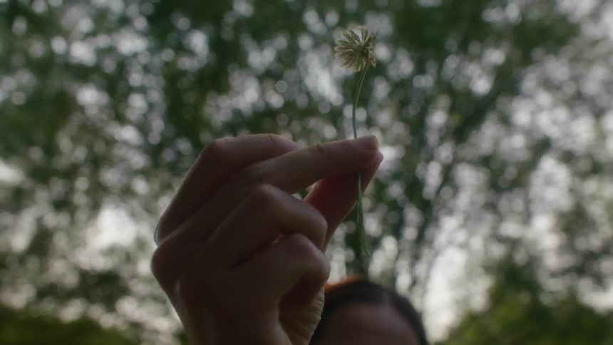A woman is holding a dandelion way above her head and rolling it between her fingers
