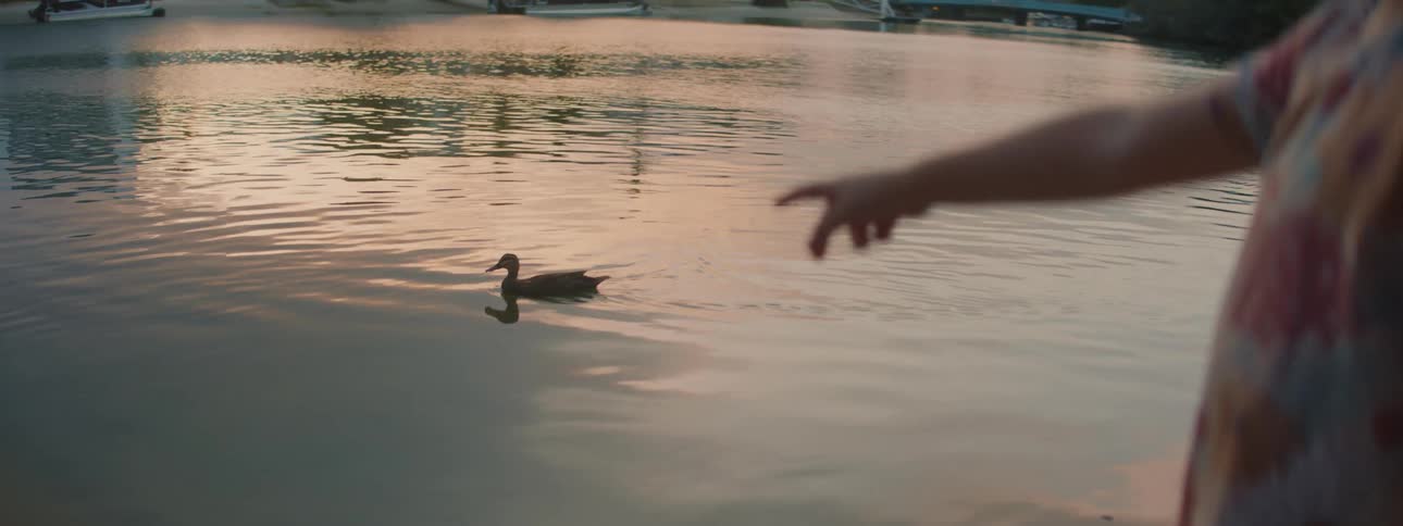 A close up of a persons torso as they point to a duck swimming on the water in front of them