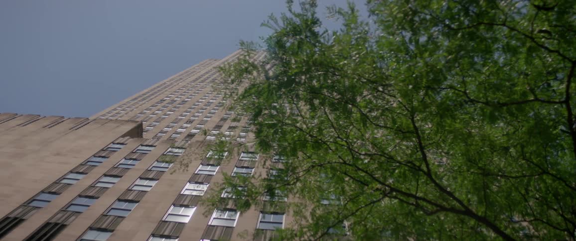 New York City Scenics