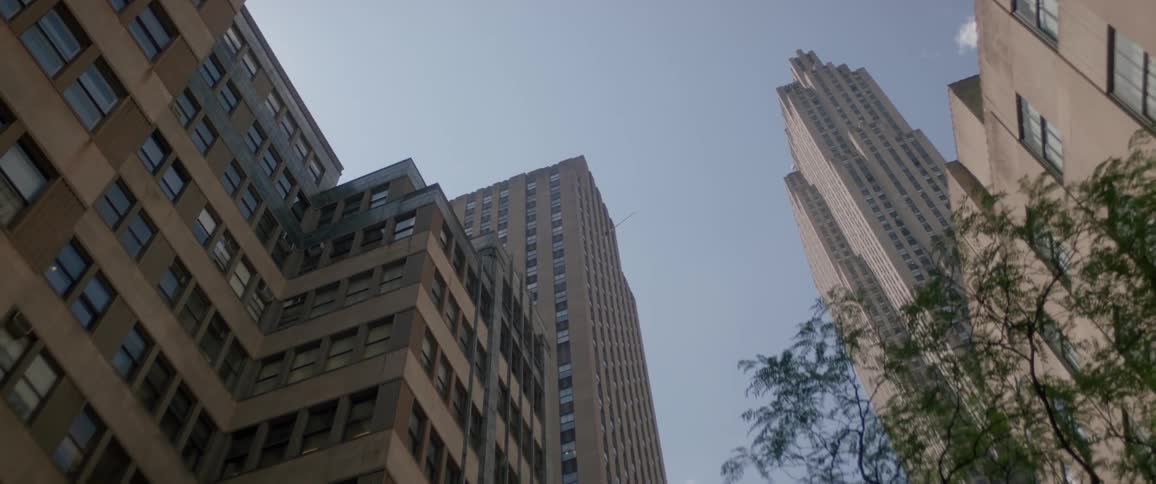 New York City Scenics