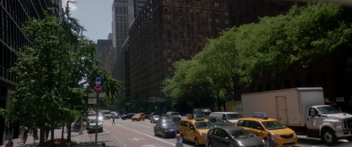 New York City Scenics