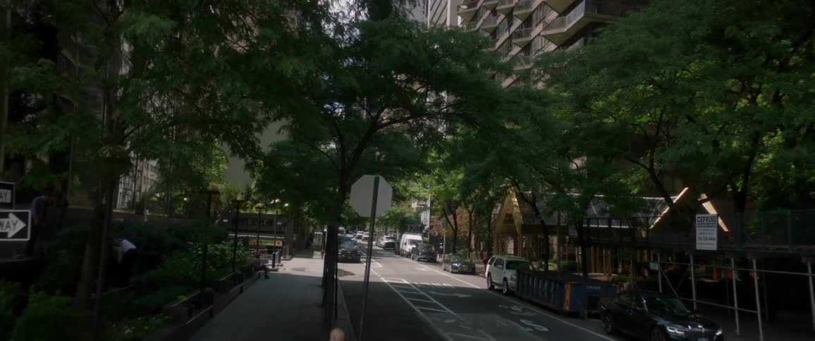 New York City Scenics