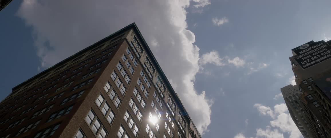 New York City Scenics