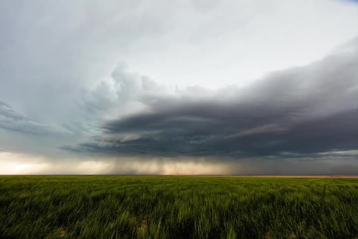 Storm clouds form over a field