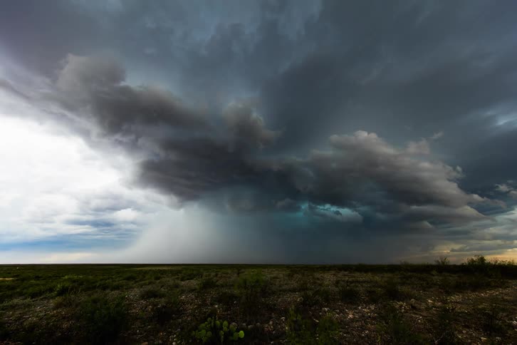 Storm clouds float over a field