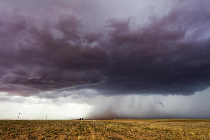 Storm clouds float over an open field