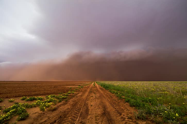 Storm clouds form over a field