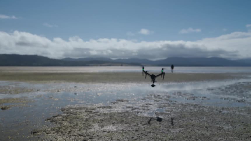 Two drones fly over the swamps