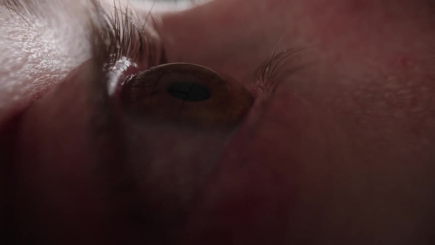 Brown eye blinking and looking around