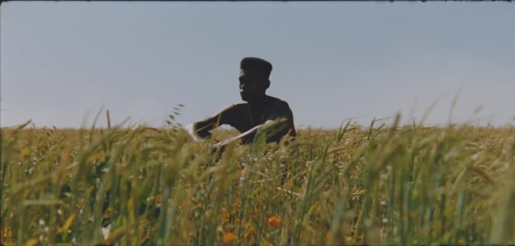 A man sits in the windy field