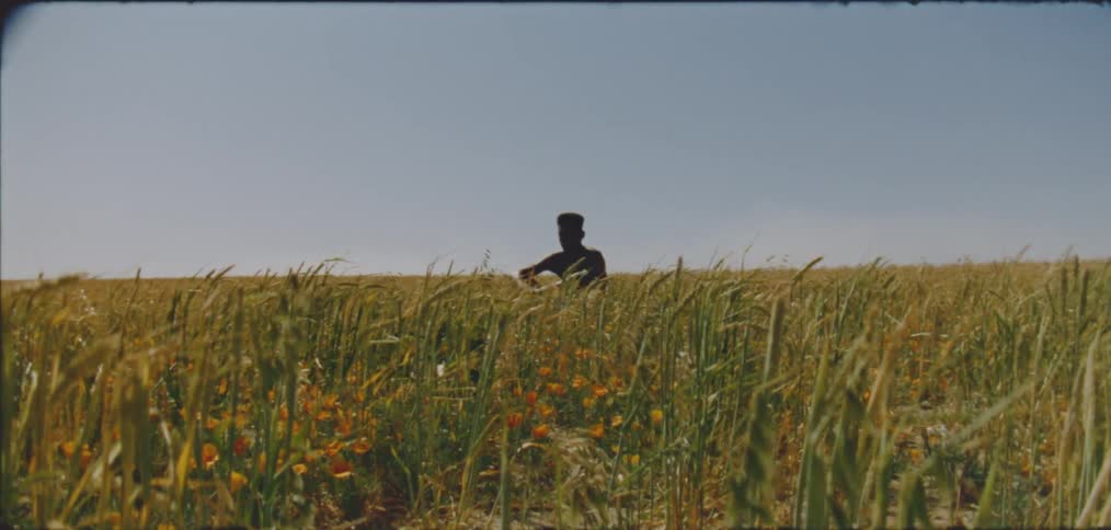 Young black man seated in the midst of a sunlit grassy field