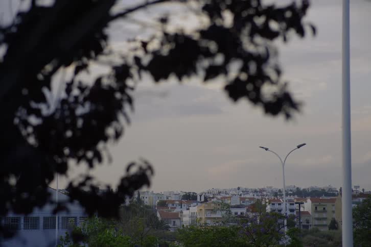 Tree branch partly obscures apartment buildings stretching to the horizon