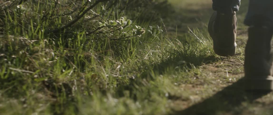 A person slowly walks in the grass