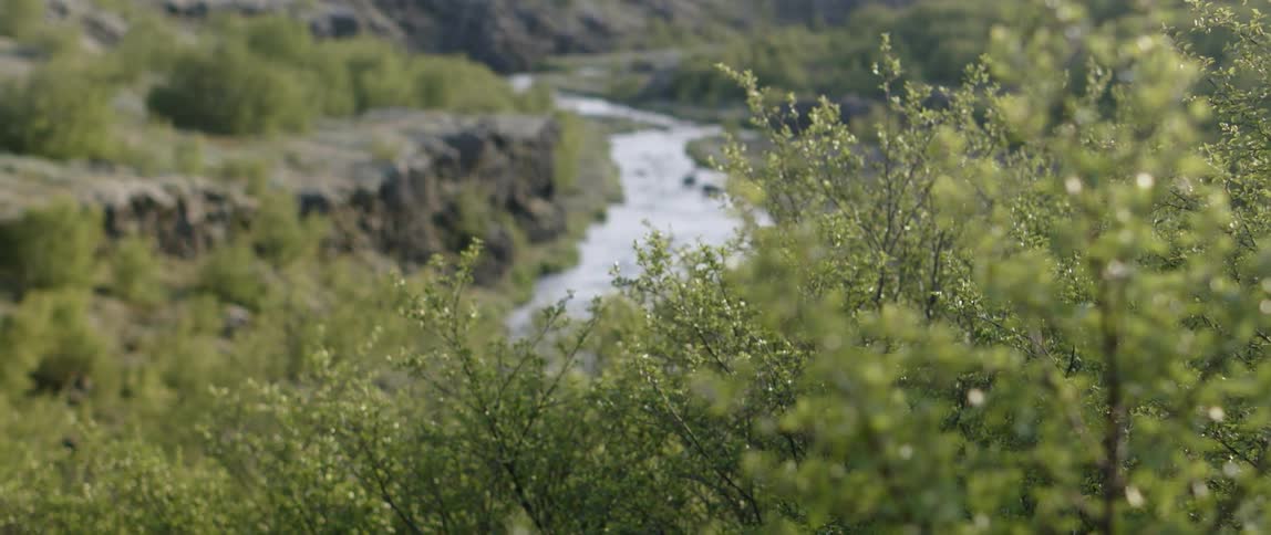 Friends Traveling Around Iceland