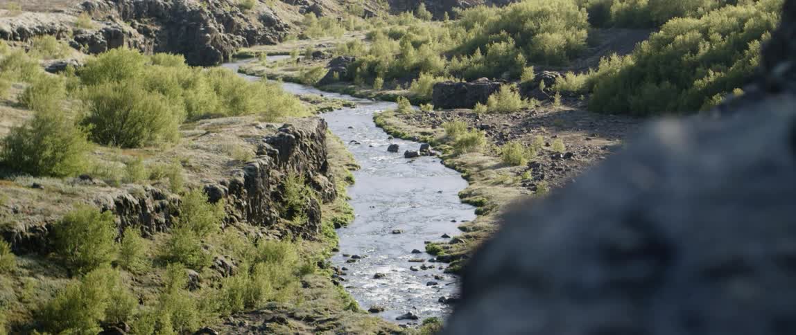 A river is flowing in a ravine in daylight