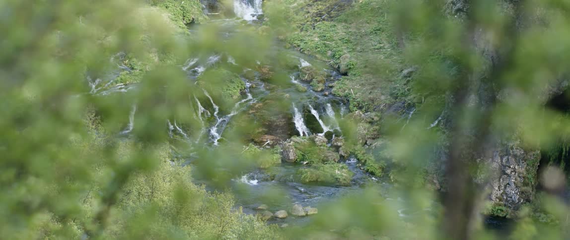 A river flows over rocks in the wilderness