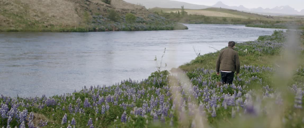 A man is walking through a field of flowers alongside a river during the day