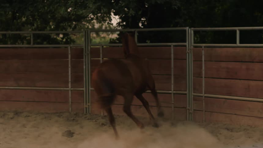 A person is training their horse on a farm