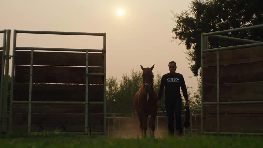 A woman leads a horse out of an enclosure during the day