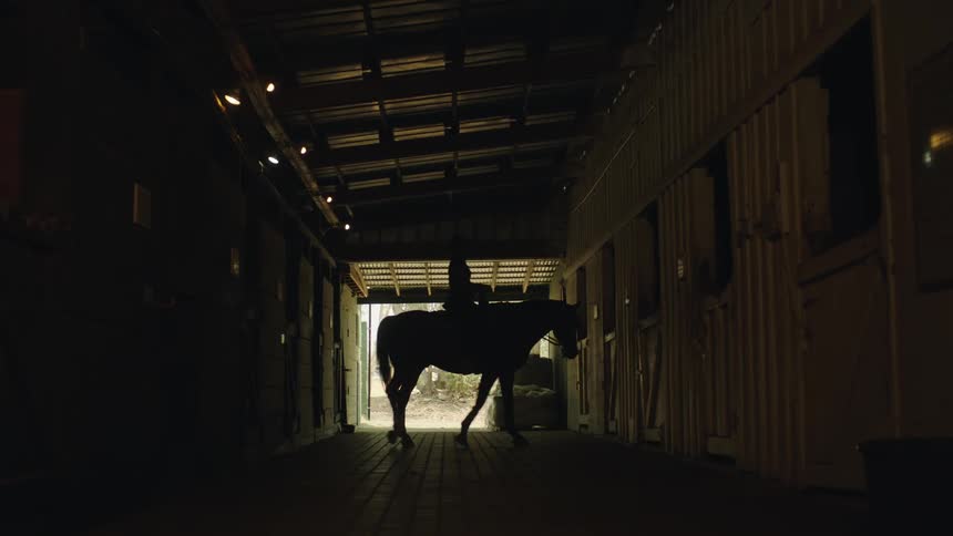 Horse rider and horse are silhouetted against sunlight as rider guides horse in circle in stables